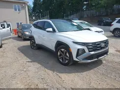 KM8JCDD11SU390491 2025 HYUNDAI TUCSON
