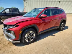 KM8JCDD12SU256542 2025 HYUNDAI TUCSON