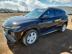 KM8JCDD12SU306677 2025 HYUNDAI TUCSON