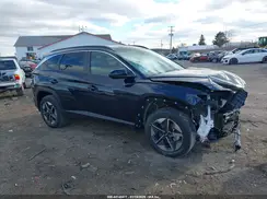 KM8JCDD13SU387334 2025 HYUNDAI TUCSON