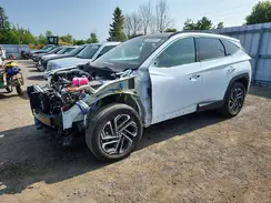 KM8JCDD17SU320414 2025 HYUNDAI TUCSON