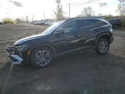 KM8JCDD17SU354840 2025 HYUNDAI TUCSON