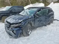 KM8JCDD18SU291568 2025 HYUNDAI TUCSON