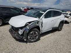 KM8JCDD19SU267392 2025 HYUNDAI TUCSON