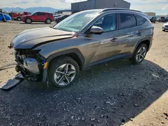 KM8JCDD19SU290445 2025 HYUNDAI TUCSON