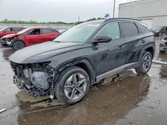 KM8JCDD1XSU301646 2025 HYUNDAI TUCSON