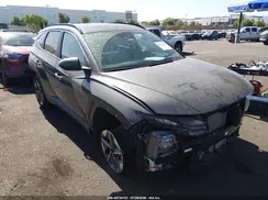 KM8JCDD1XSU341497 2025 HYUNDAI TUCSON