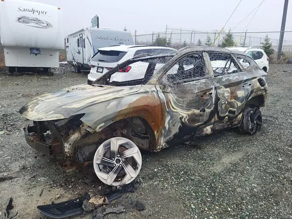 KM8JDDA24PU113111 2023 HYUNDAI TUCSON - Image 1