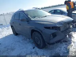 KM8JDDA24PU130880 2023 HYUNDAI TUCSON