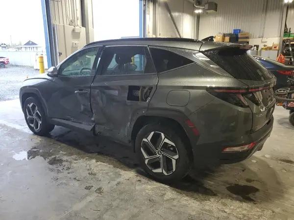 KM8JDDD21RU236699 2024 HYUNDAI TUCSON - Image 2