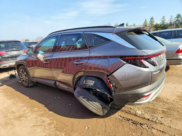 KM8JDDD21SU358243 2025 HYUNDAI TUCSON - Image 2