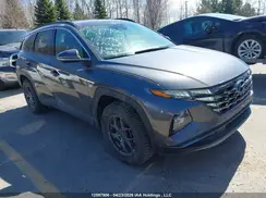 KM8JDDD23RU204529 2024 HYUNDAI TUCSON