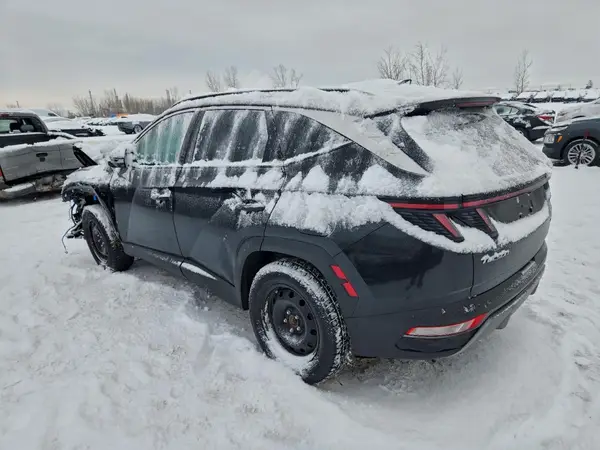 KM8JDDD29RU145695 2024 HYUNDAI TUCSON - Image 2