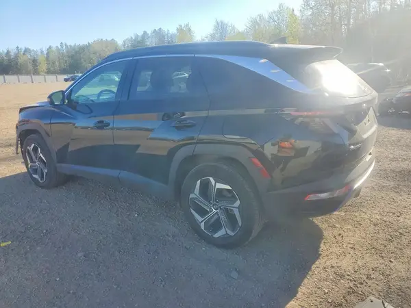KM8JDDD29RU177739 2024 HYUNDAI TUCSON - Image 2