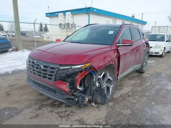 KM8JDDD2XRU207556 2024 HYUNDAI TUCSON - Image 2