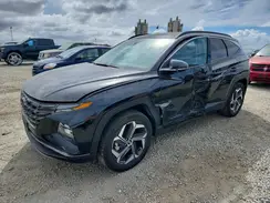 KM8JECA10PU116828 2023 HYUNDAI TUCSON