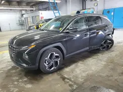 KM8JECA11PU135484 2023 HYUNDAI TUCSON