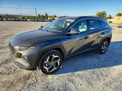 KM8JECA13PU102731 2023 HYUNDAI TUCSON