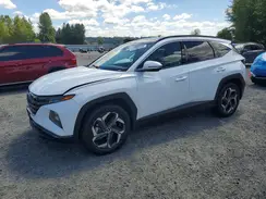 KM8JECA16PU095791 2023 HYUNDAI TUCSON
