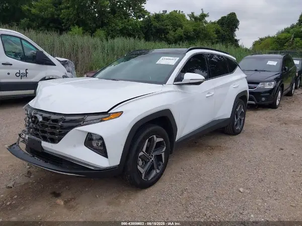 KM8JECD10RU188871 2024 HYUNDAI TUCSON - Image 2