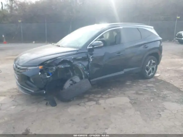 KM8JECD10RU218340 2024 HYUNDAI TUCSON - Image 2