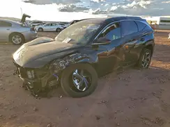 KM8JECD10RU229161 2024 HYUNDAI TUCSON