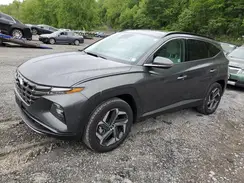 KM8JECD10RU238877 2024 HYUNDAI TUCSON