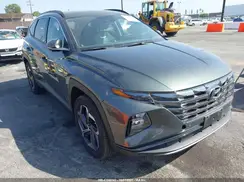 KM8JECD11RU165499 2024 HYUNDAI TUCSON