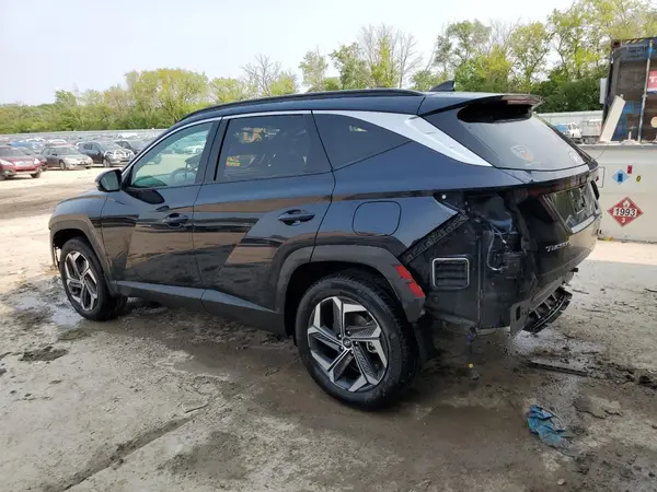 KM8JECD11RU180214 2024 HYUNDAI TUCSON - Image 2