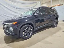 KM8JECD11RU218900 2024 HYUNDAI TUCSON