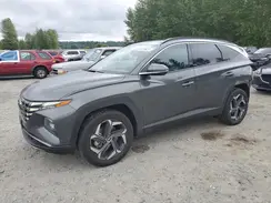 KM8JECD11RU219755 2024 HYUNDAI TUCSON