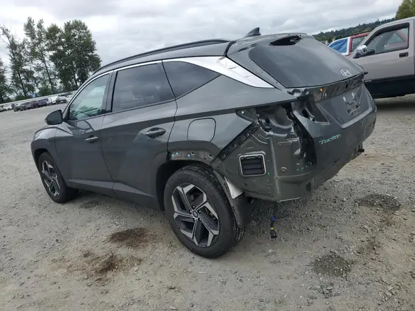 KM8JECD11RU219755 2024 HYUNDAI TUCSON - Image 2