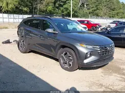 KM8JECD11RU235356 2024 HYUNDAI TUCSON