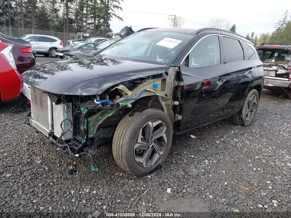 KM8JECD11RU244283 2024 HYUNDAI TUCSON - Image 2