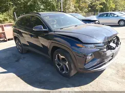 KM8JECD13RU155864 2024 HYUNDAI TUCSON