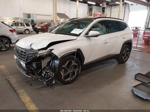 KM8JECD13RU167562 2024 HYUNDAI TUCSON - Image 2