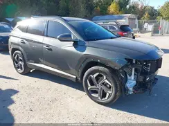 KM8JECD13RU189092 2024 HYUNDAI TUCSON