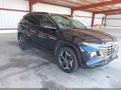 KM8JECD13RU228134 2024 HYUNDAI TUCSON
