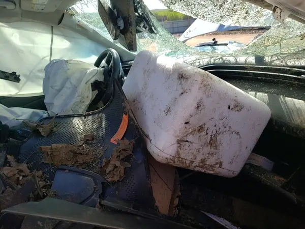 KM8JECD13RU241045 2024 HYUNDAI TUCSON - Image 8