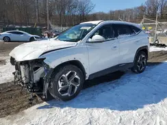 KM8JECD14RU139334 2024 HYUNDAI TUCSON