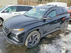 KM8JECD14RU146817 2024 HYUNDAI TUCSON