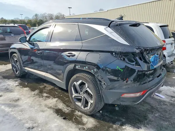 KM8JECD14RU146817 2024 HYUNDAI TUCSON - Image 2