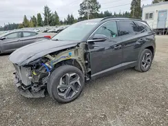 KM8JECD14RU193359 2024 HYUNDAI TUCSON