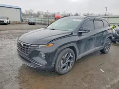KM8JECD14RU219006 2024 HYUNDAI TUCSON