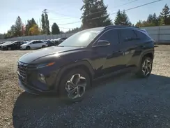 KM8JECD14RU220480 2024 HYUNDAI TUCSON