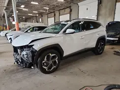 KM8JECD15RU153985 2024 HYUNDAI TUCSON