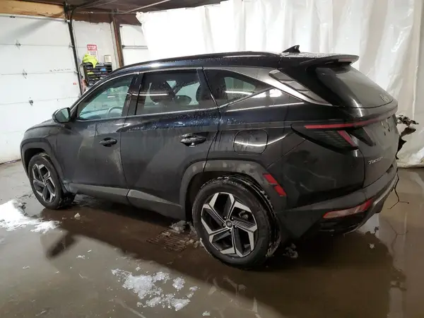 KM8JECD15RU165991 2024 HYUNDAI TUCSON - Image 2
