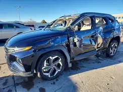 KM8JECD15RU192334 2024 HYUNDAI TUCSON