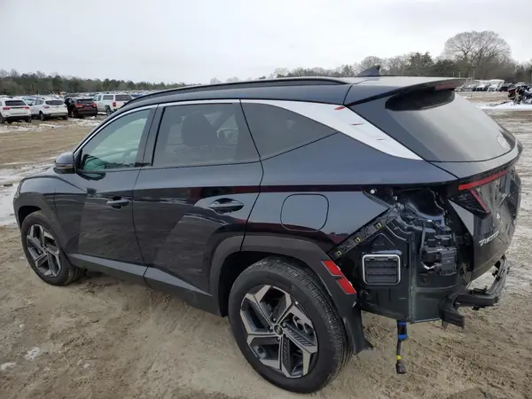 KM8JECD15RU218298 2024 HYUNDAI TUCSON - Image 2