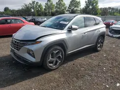 KM8JECD15RU218561 2024 HYUNDAI TUCSON